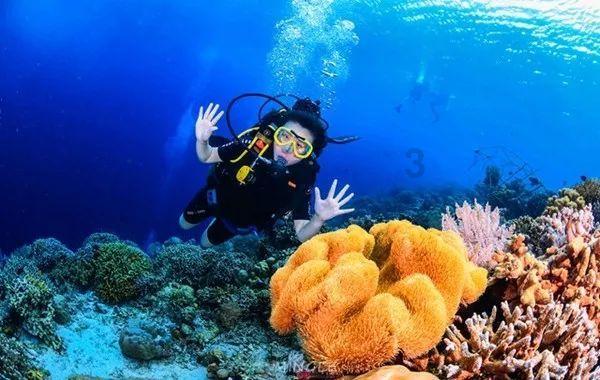 疑问已答 | 不是真心的在这跟你浪费时间?怎么回她 问题解答平台